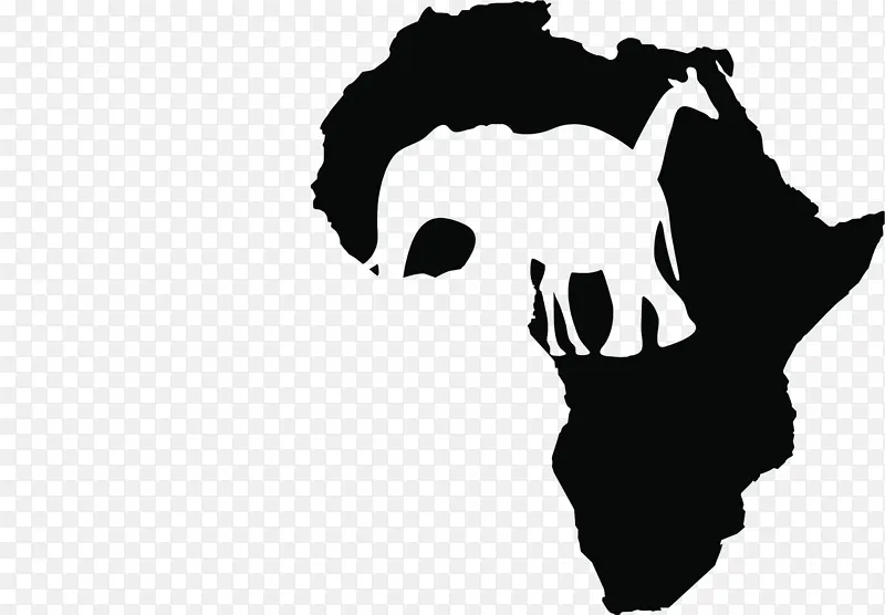 非洲 政治 黑白