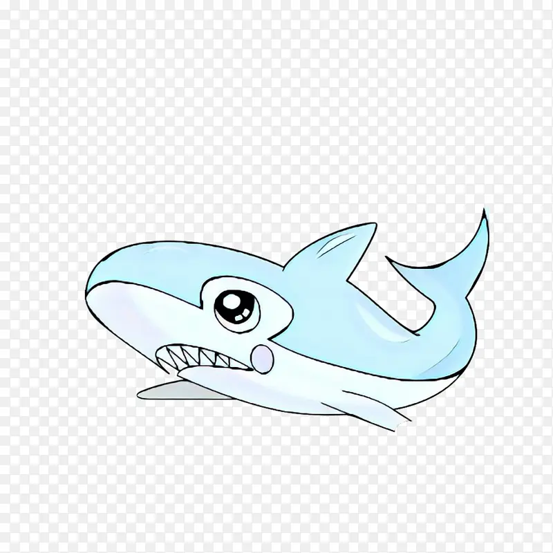 海豚 鲨鱼 安魂鲨
