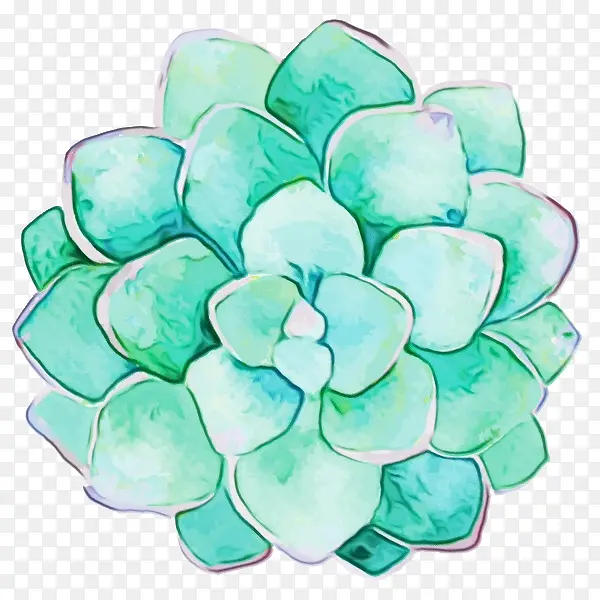 水彩画 多汁植物 绘画