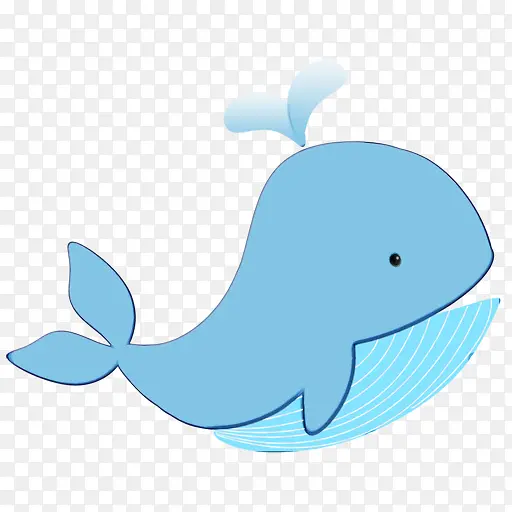 海豚 鲸目动物 鲸鱼