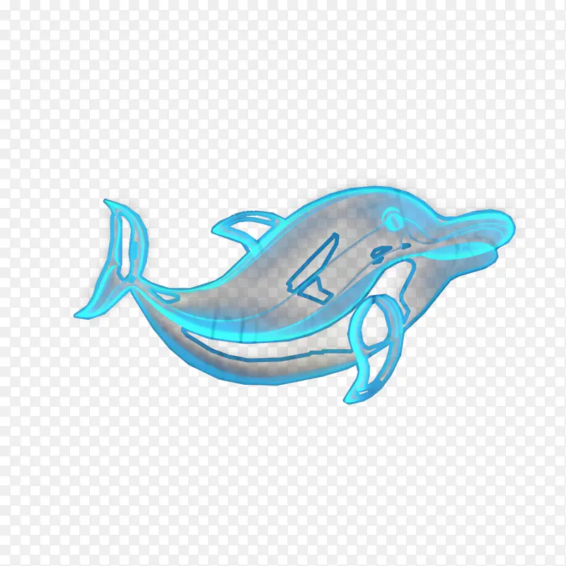 海豚 绿松石 鲸鱼