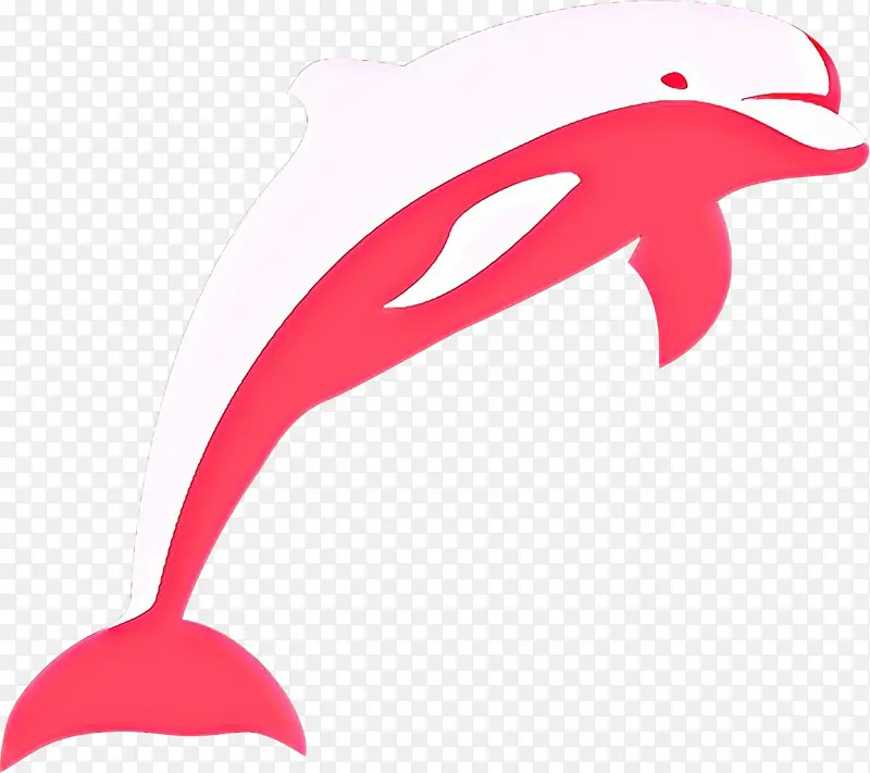 海豚 海洋海豚 短喙普通海豚