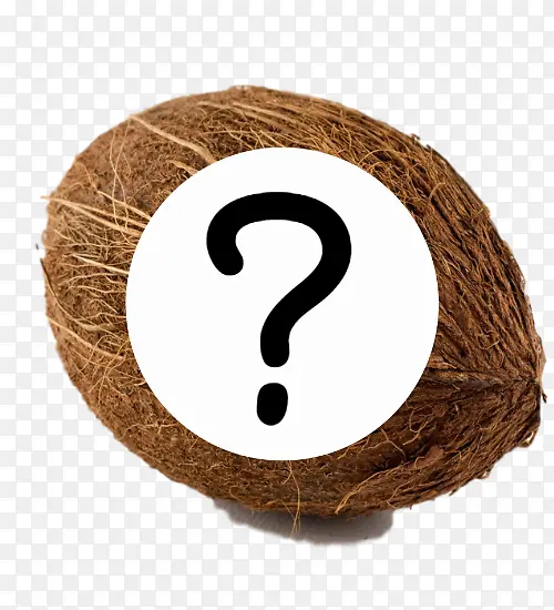 布莱尔港 椰子 棕椰子