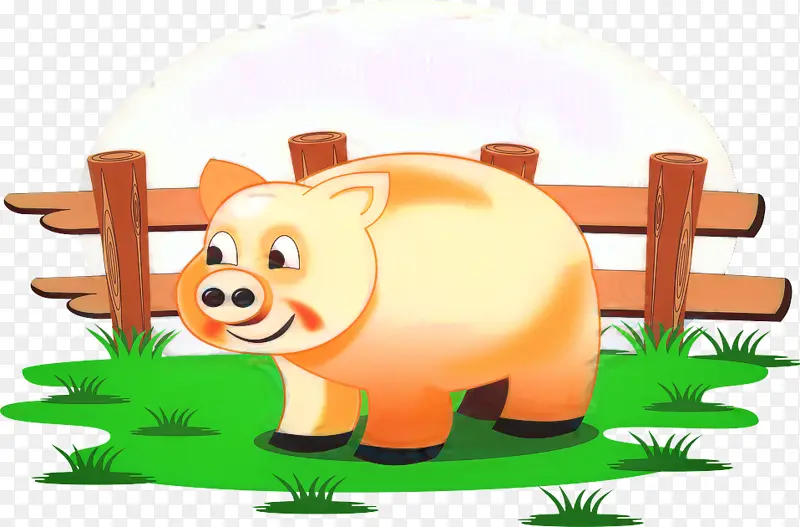 猪 农场 农业