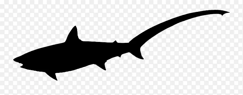 鲨鱼 线条 轮廓