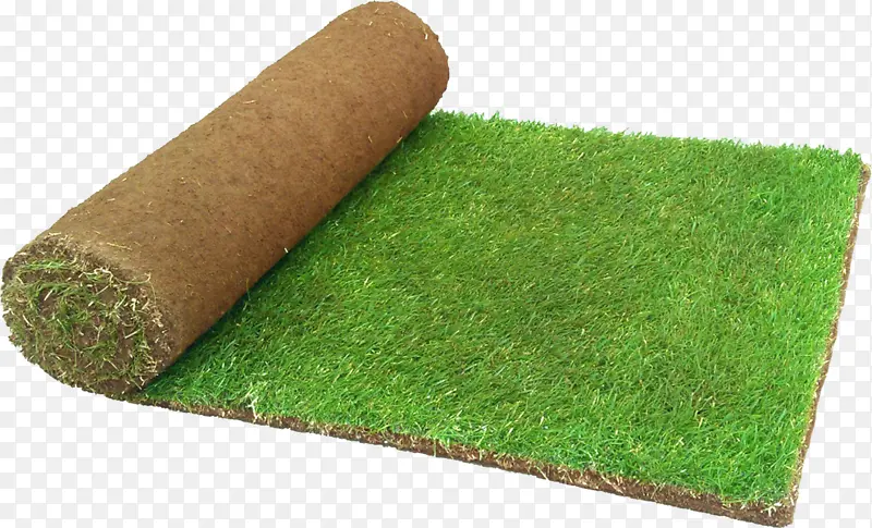 人造草坪 草坪 景观设计
