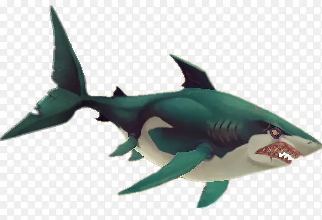 大白鲨 饥饿的鲨鱼世界 食人鱼