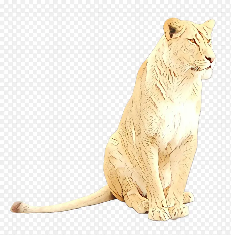 狮子 胡须 猫