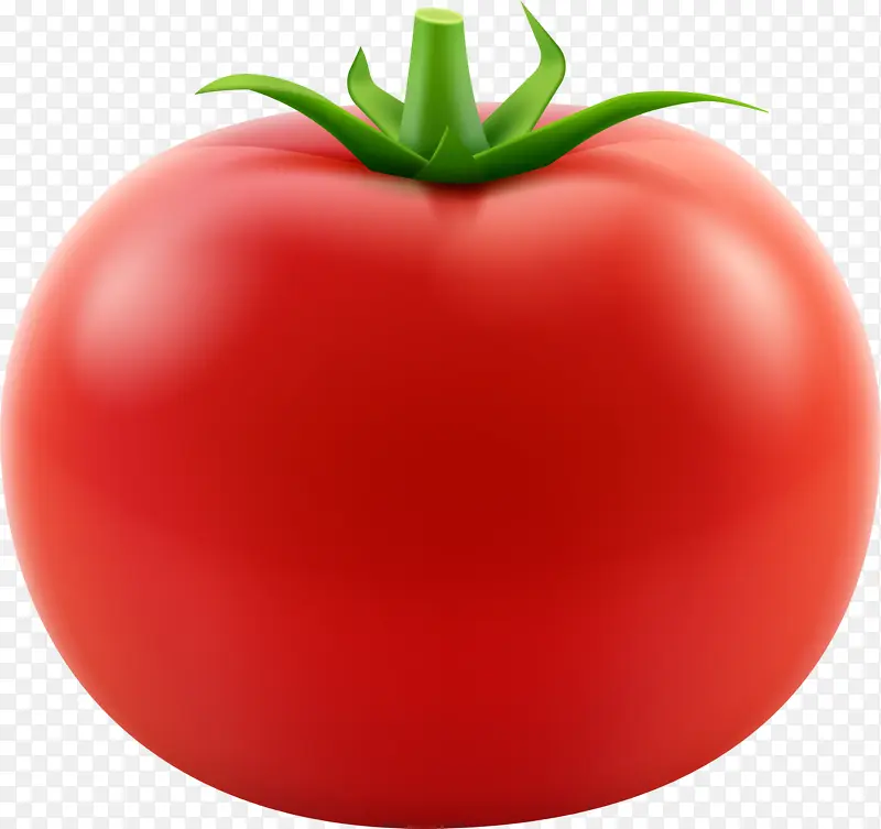 番茄 番茄汁 食品