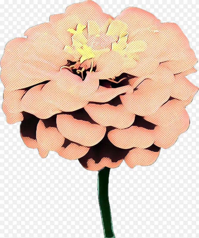 采购产品切花 花 花束