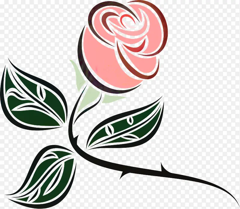 玫瑰 花朵 花卉设计