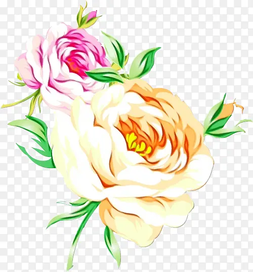 花园玫瑰 白菜玫瑰 花卉设计