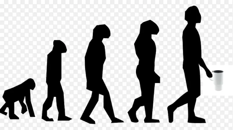 进化 人类进化 冰球