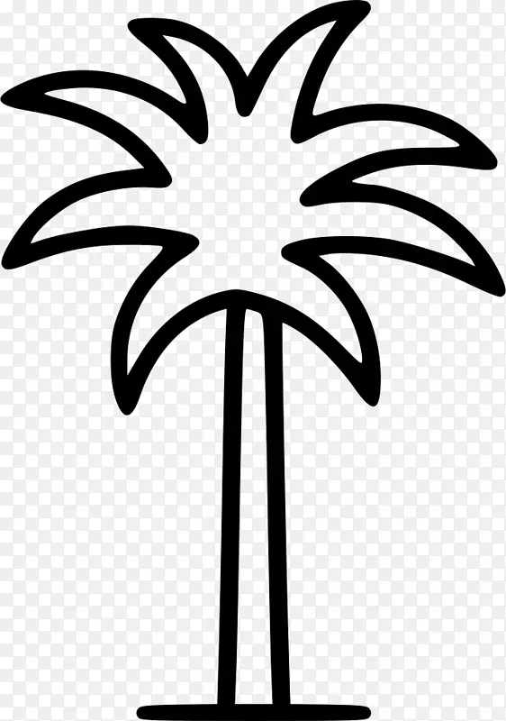棕榈树 树 椰子