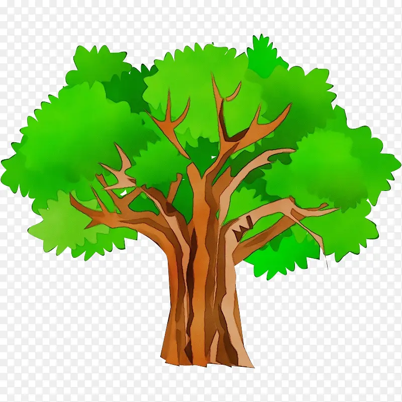 树 橡树 网页设计