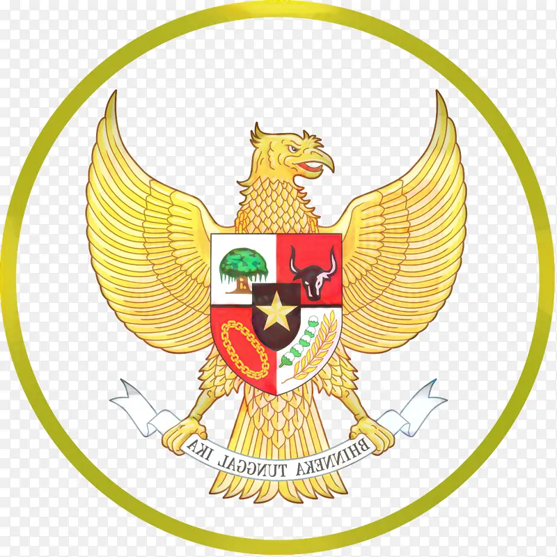 印度尼西亚国家足球队 足球队 印度尼西亚足球协会