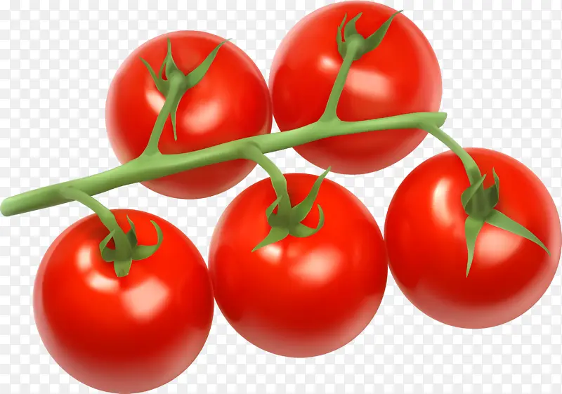 樱桃番茄 灌木番茄 蔬菜