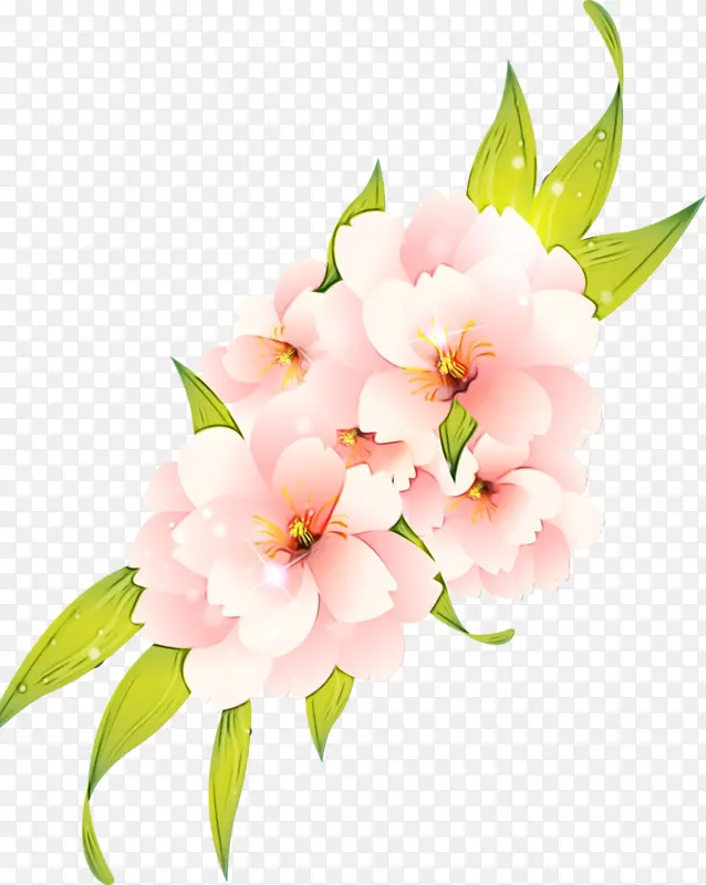 花朵 花卉设计 粉色花朵