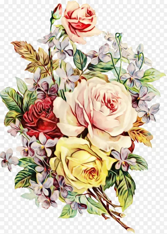 花园玫瑰 花束 花卉设计