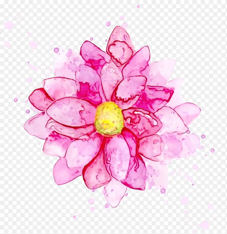 水彩画 素描 花卉
