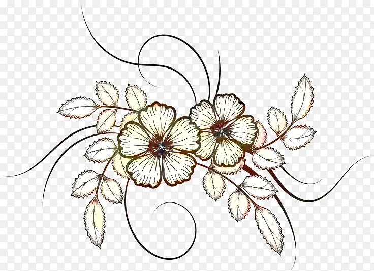 花卉设计 切花 线条艺术
