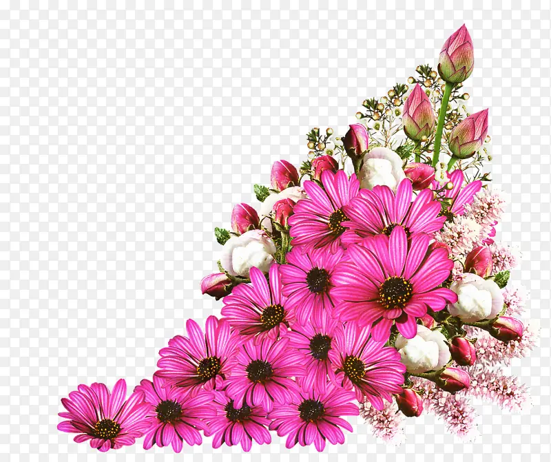 花卉设计 生日