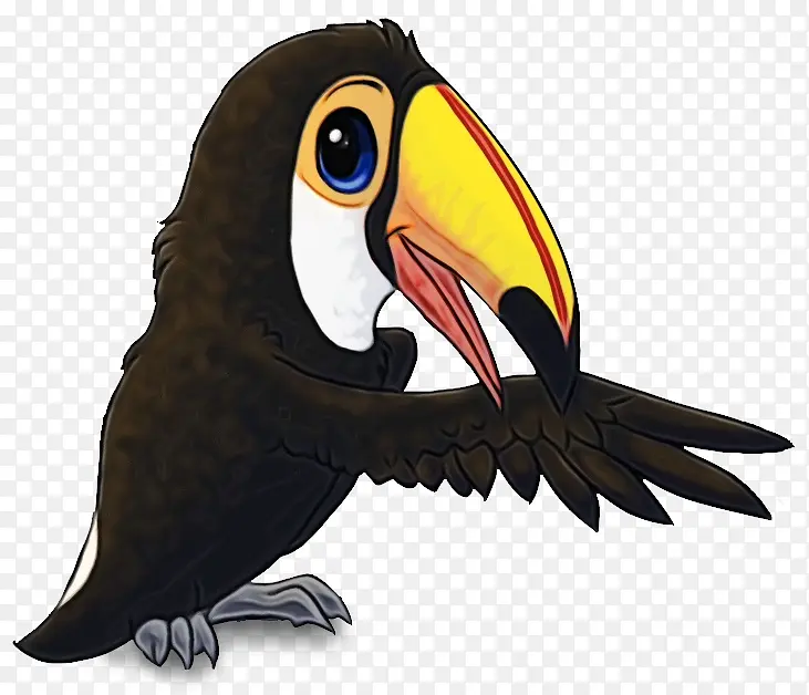 巨嘴鸟 鸟 卡通