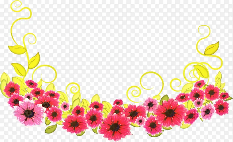 博客 花卉 国际妇女节