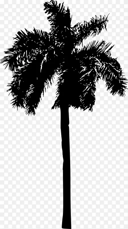 棕榈树 侧影 树
