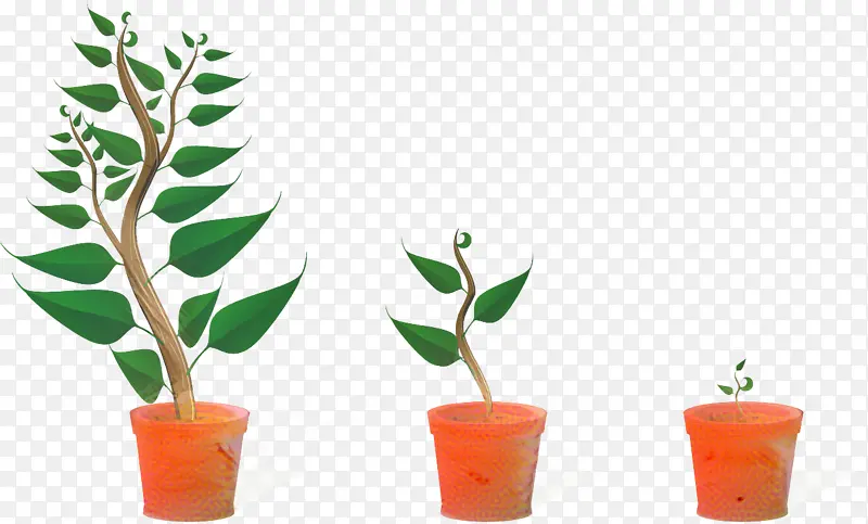 植物 生长光 基因型