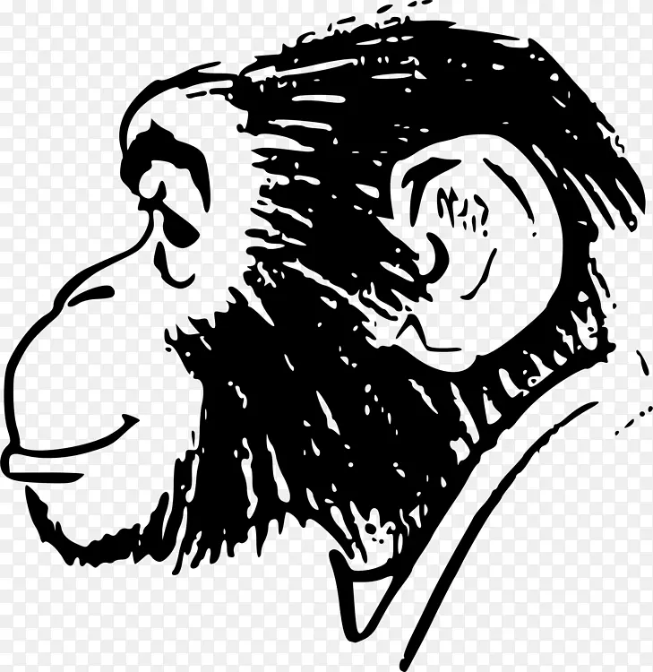 猿 黑猩猩 绘画