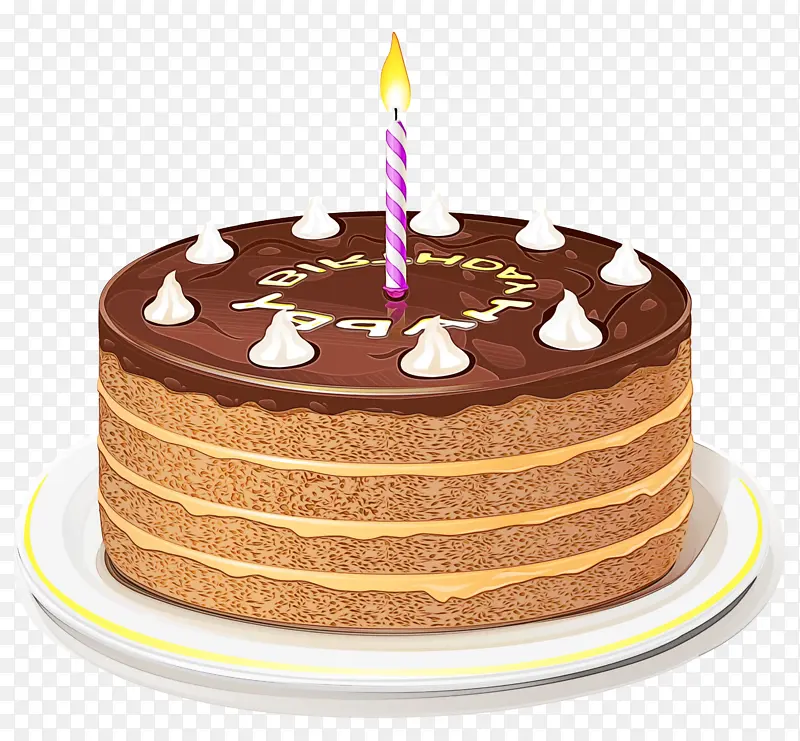 生日蛋糕 萨切特 巧克力蛋糕