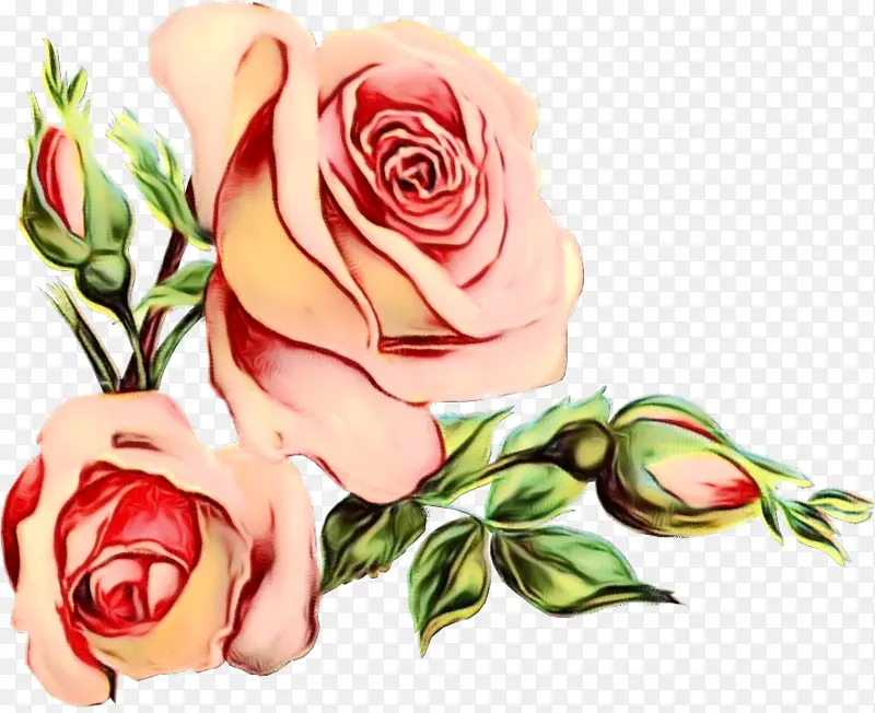 花卉设计 婚礼邀请函 花园玫瑰