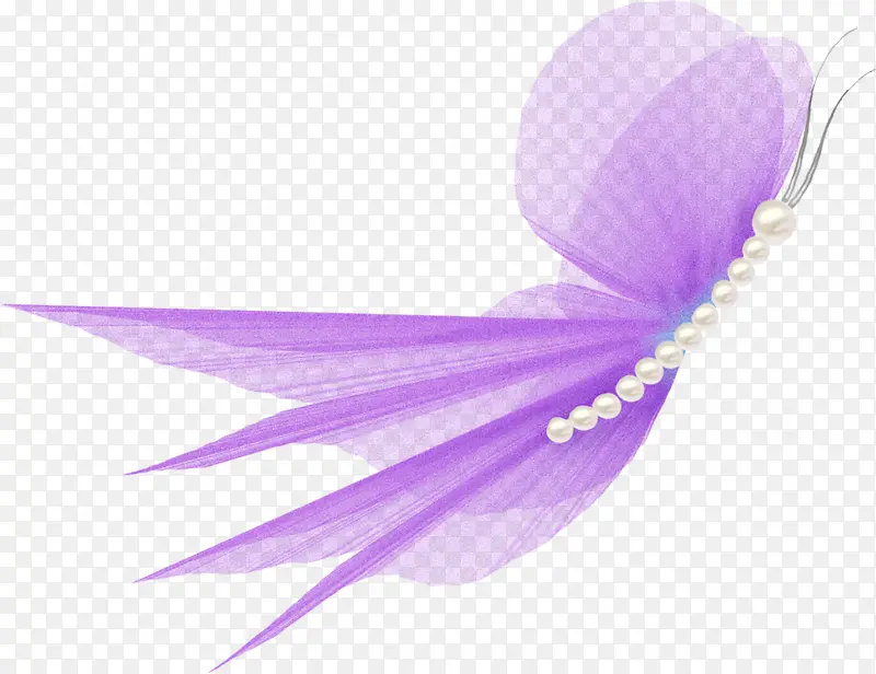 紫色 羽毛 丁香