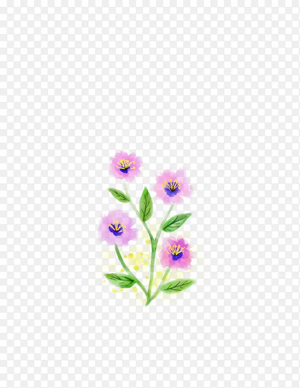 植物茎 植物 紫罗兰