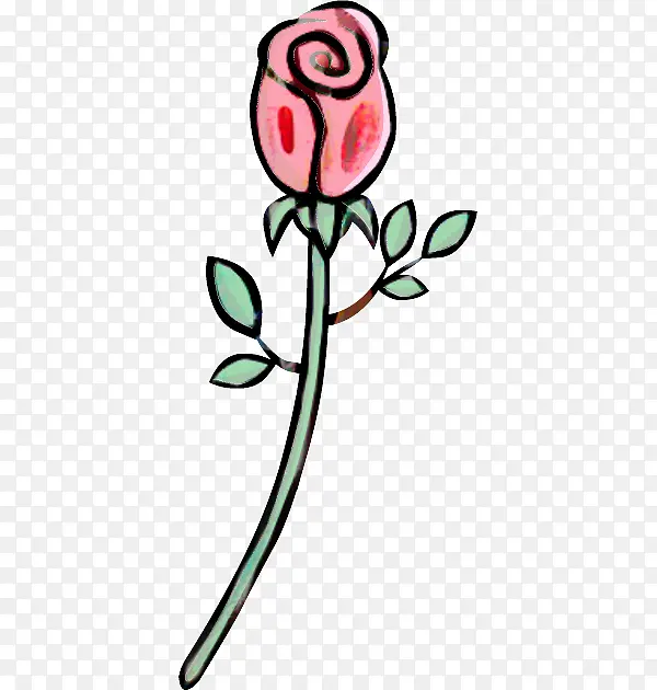 花卉设计 玫瑰科 切花