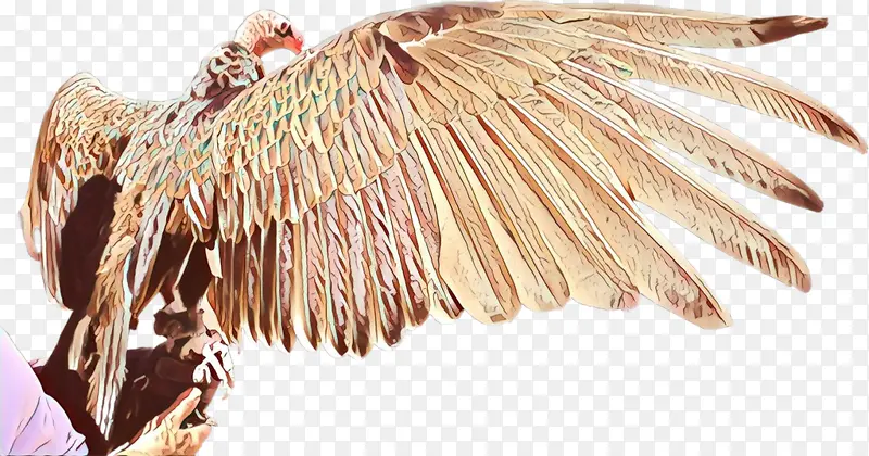羽毛 植物 翅膀