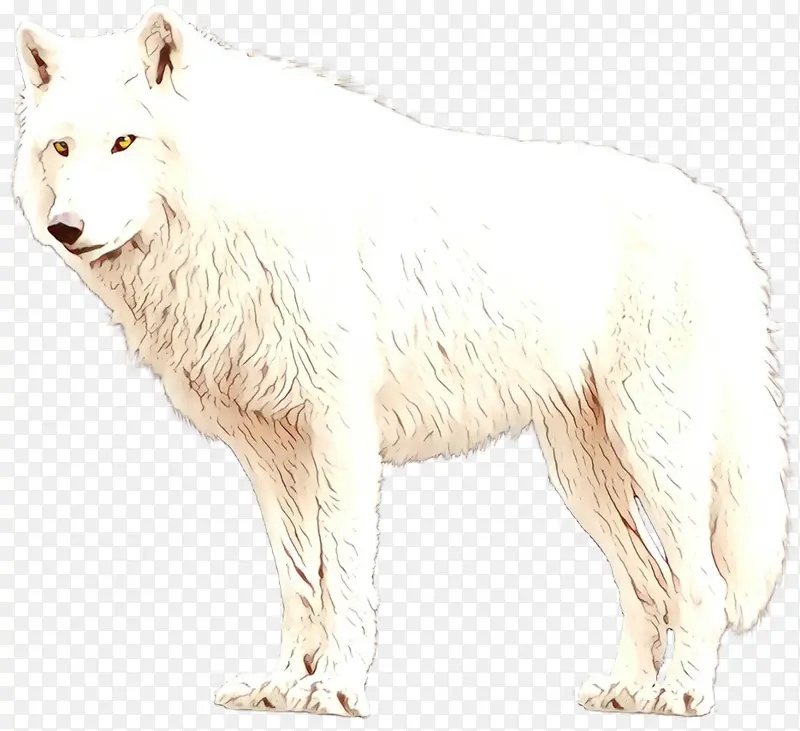 狗 北极熊 北极狐