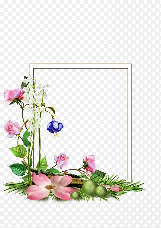 花卉设计 花卉 相框