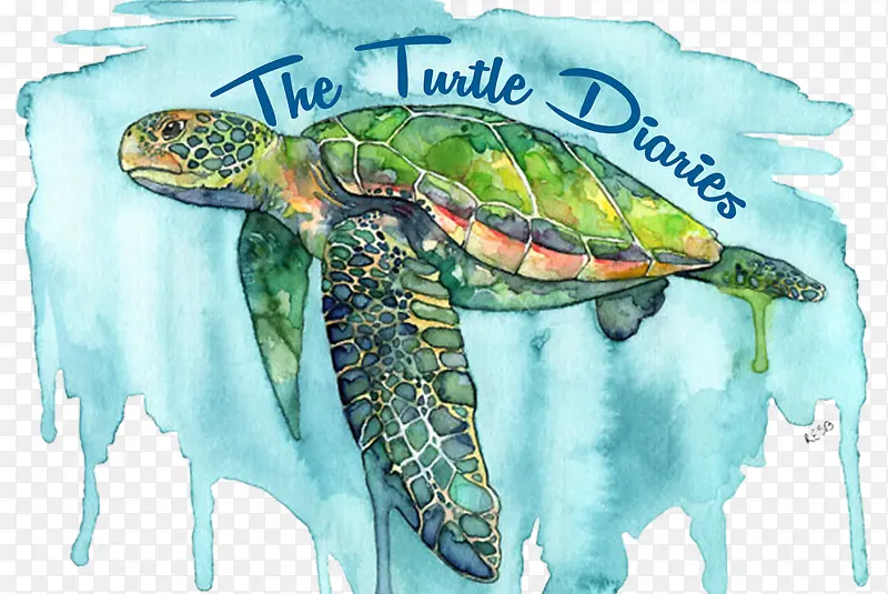 水彩画 油画 海龟
