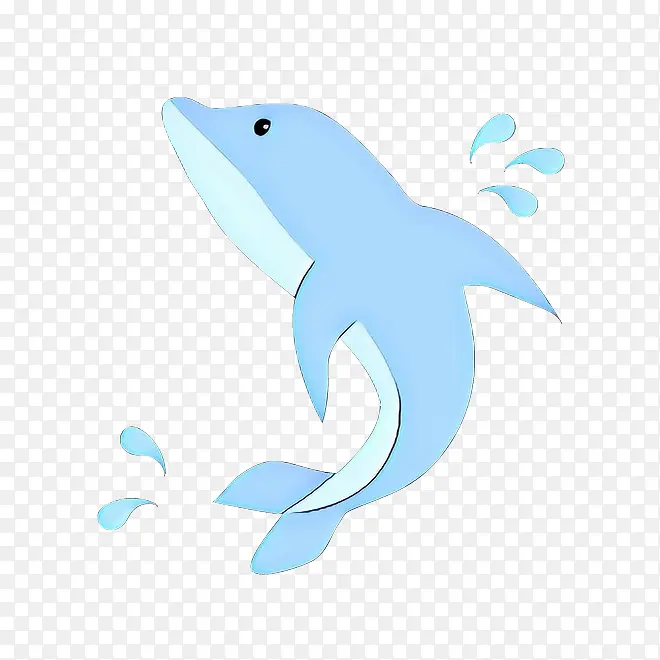 鲨鱼 海豚 软骨鱼类
