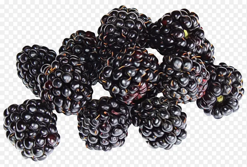 浆果 黑莓 荆棘