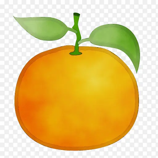橘子 橙子 苦橙
