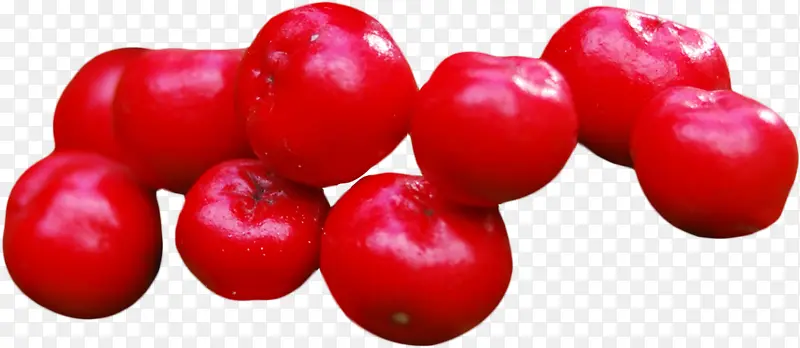 李子番茄 食品 蔓越莓