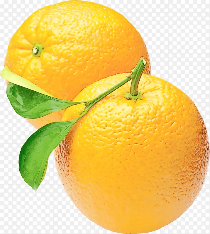 橙子 食品 酸橙