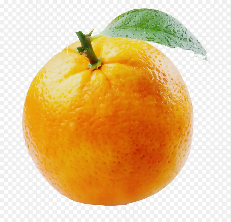 柑橘 水果 橙子