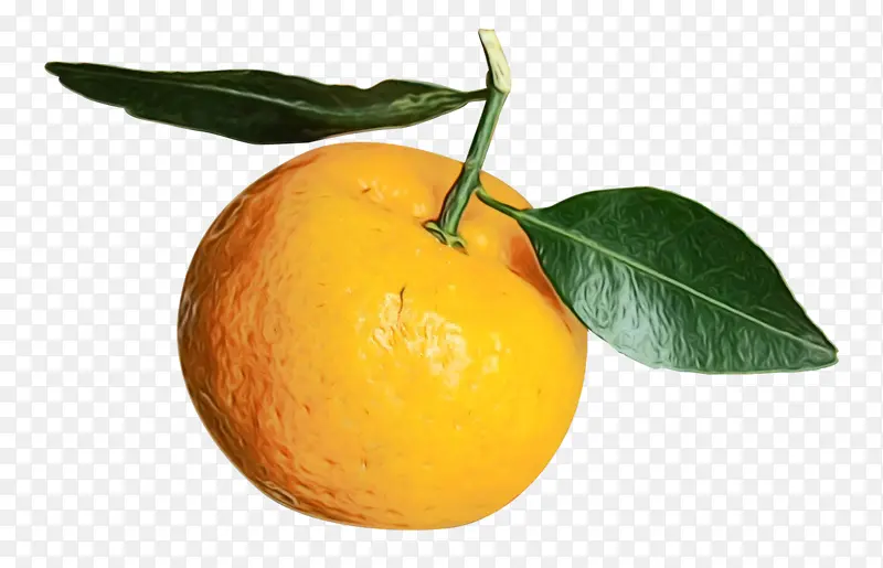 橘子 克莱门汀 橙汁