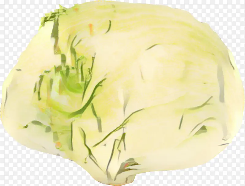 卷心菜 绿色 黄色