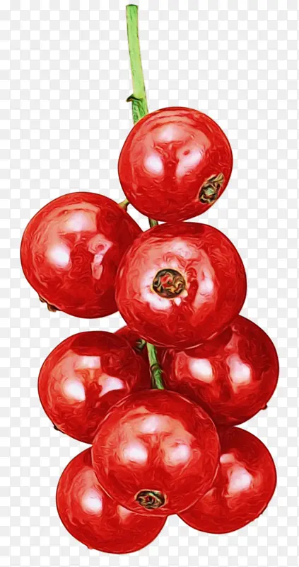 番茄 食品 巴巴多斯樱桃