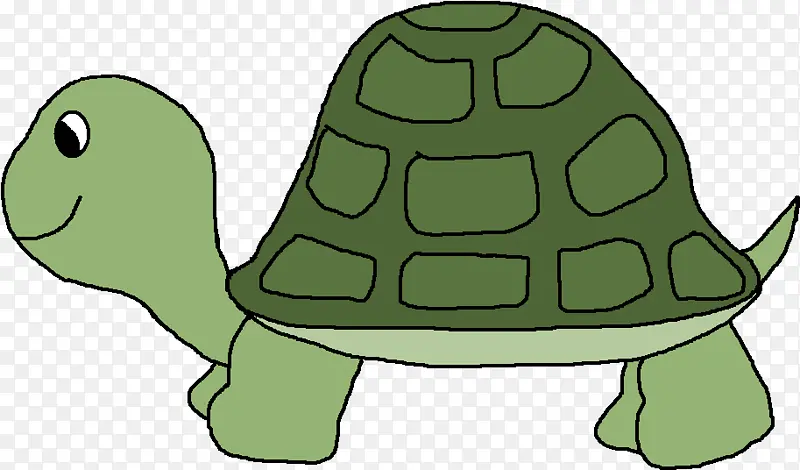 乌龟 爬行动物 绘画